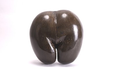 Lot 73 - A Coco de Mer (Lodoicea Maldivica), polished, from the Seychelles, 1970s