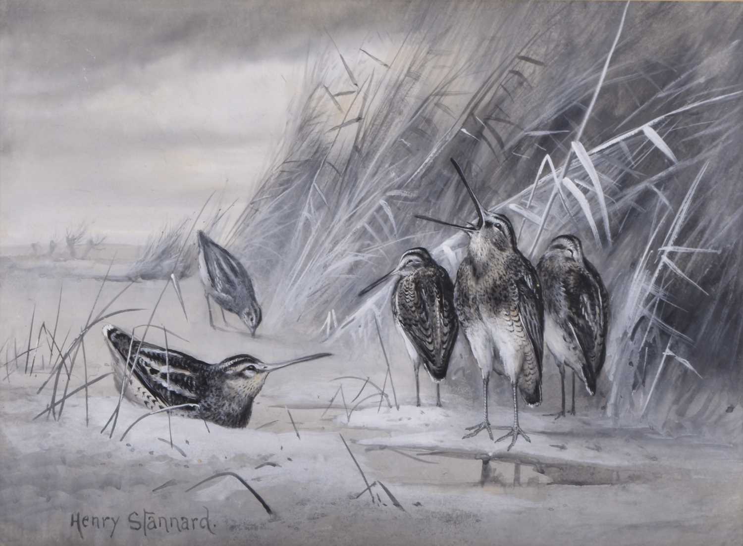 Lot 298 - Henry Stannard (1844-1920) Snipe Amongst The Rushes