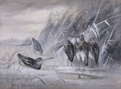 Lot 298 - Henry Stannard (1844-1920) Snipe Amongst The Rushes