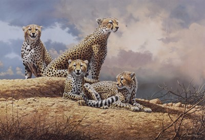Lot 91 - Adrian Rigby (b.1962) A Quantity of Limited Edition Cheetah Prints, Ex Gallery Stock
