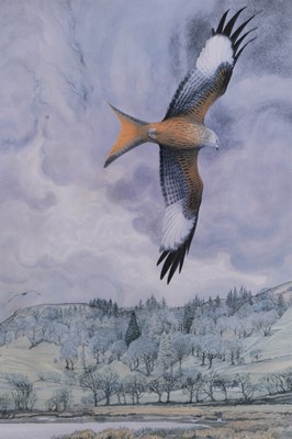 Lot 302 - Michael Warren (b.1938) A Collection of Artist Proof and Limited Edition Prints