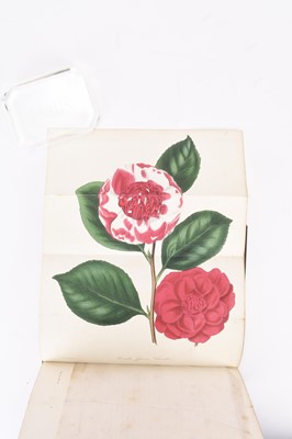 Lot 42 - PAXTON, Joseph, Paxton's Magazine of Botany and Register of Flowering Plants. Vol 2 1836.