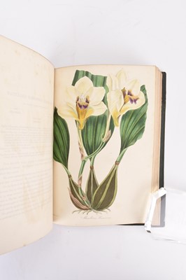 Lot 42 - PAXTON, Joseph, Paxton's Magazine of Botany and Register of Flowering Plants. Vol 2 1836.