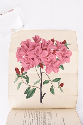 Lot 42 - PAXTON, Joseph, Paxton's Magazine of Botany and Register of Flowering Plants. Vol 2 1836.