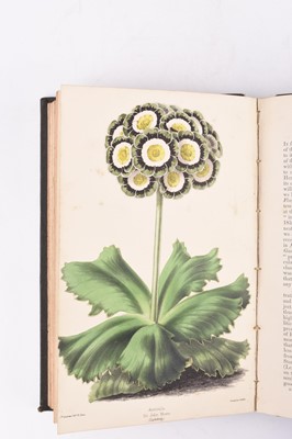 Lot 73 - THE FLORIST, FRUITIST and Garden Miscellany. 2 vols 1852 and 1853 (4)
