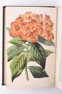 Lot 73 - THE FLORIST, FRUITIST and Garden Miscellany. 2 vols 1852 and 1853 (4)