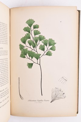 Lot 73 - THE FLORIST, FRUITIST and Garden Miscellany. 2 vols 1852 and 1853 (4)