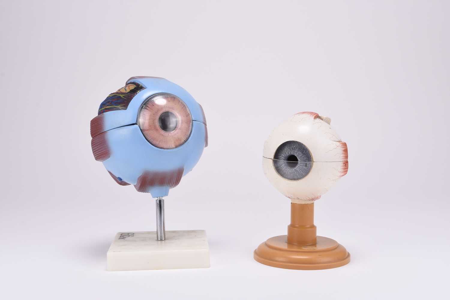 Lot 17 - Anatomy: Two late 20th century teaching models of eyeballs (2)