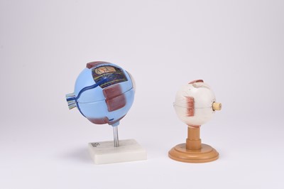 Lot 17 - Anatomy: Two late 20th century teaching models of eyeballs (2)