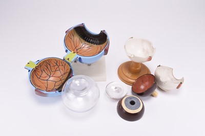 Lot 17 - Anatomy: Two late 20th century teaching models of eyeballs (2)