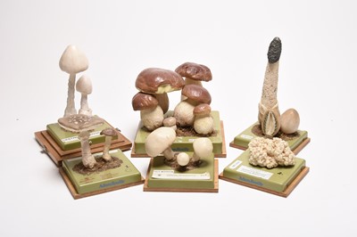Lot 99 - A collection of Adam Rouilly models of fungi by Somso