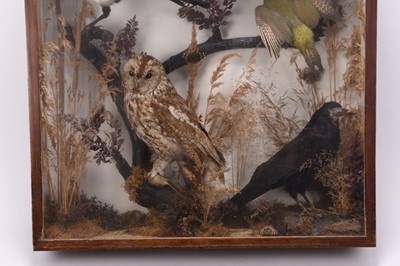 Lot 62 - Taxidermy: A cased diorama of British birds, circa 1930s