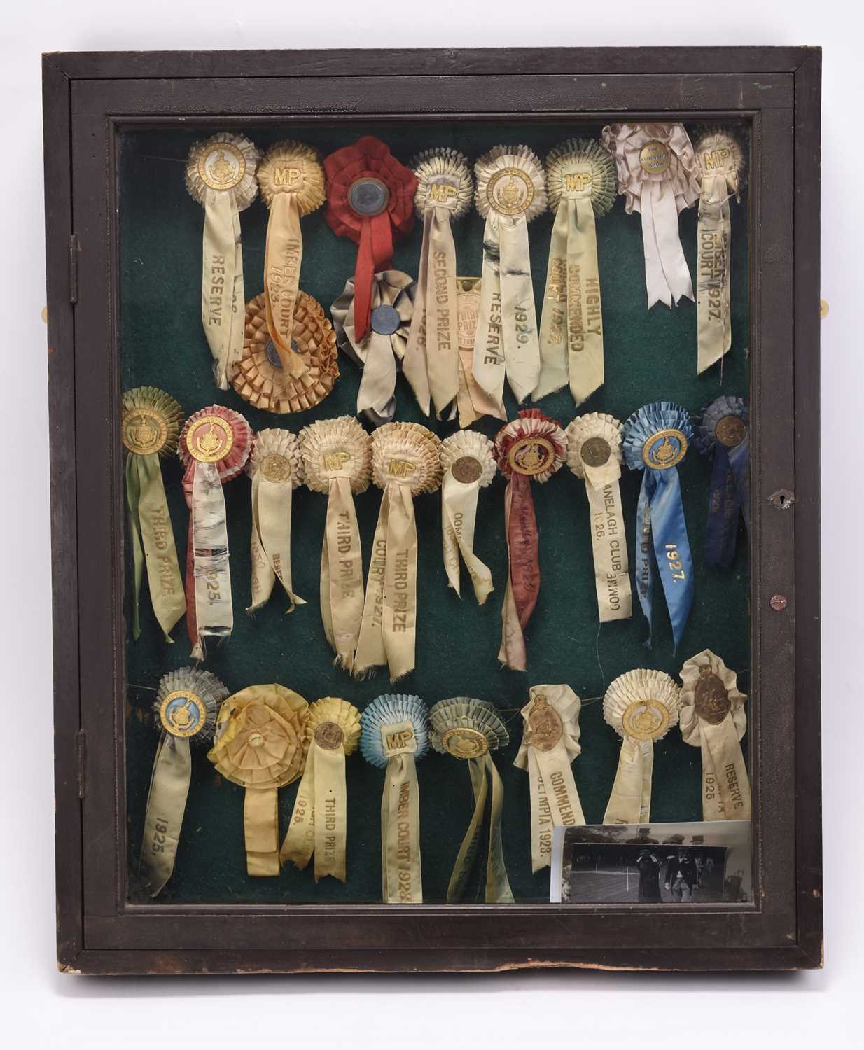Lot 20 - A collection of gilt metal and silk equestrian rosettes, 1923-1929, to a display case