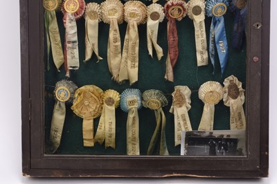 Lot 20 - A collection of gilt metal and silk equestrian rosettes, 1923-1929, to a display case