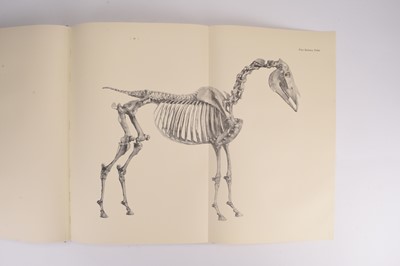 Lot 129 - STUBBS, George, The Anatomy of the Horse. J A Allen & Co 1965