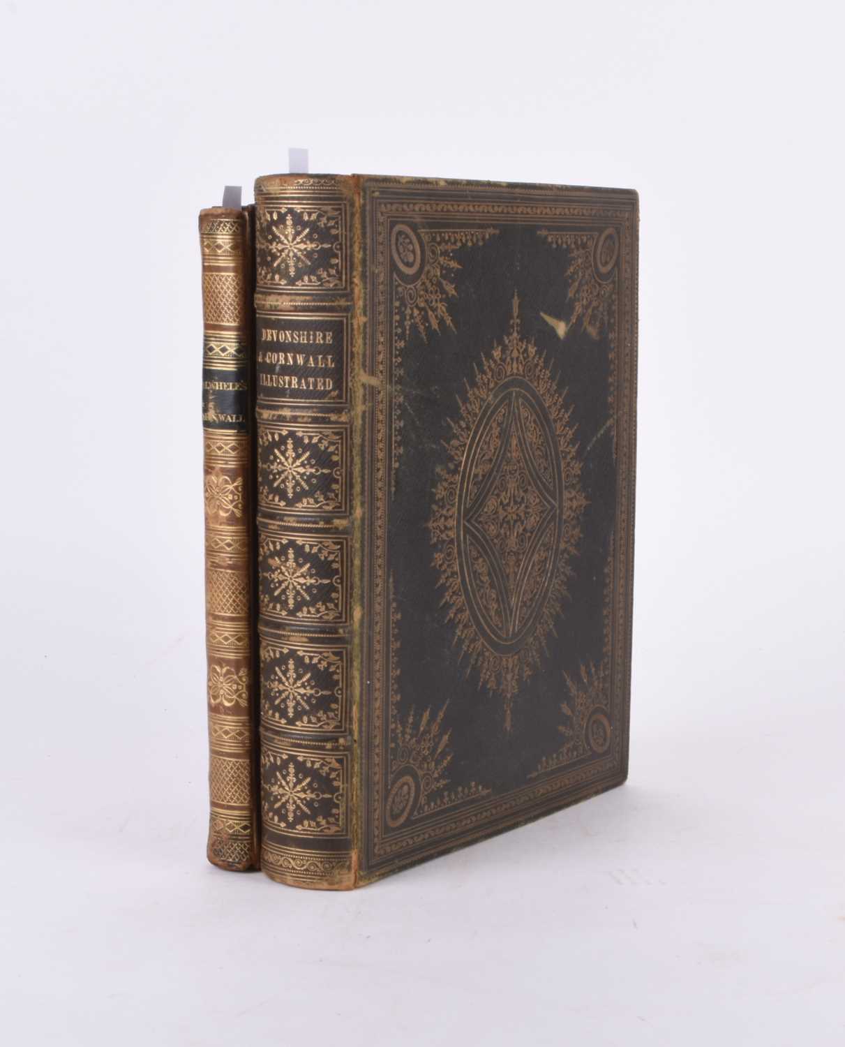 Lot 113 - BRITTON, J & BRAYLEY, EW, Devonshire & Cornwall Illustrated with POLWHELE, Richard, The History of Cornwall in respect to its population (2)