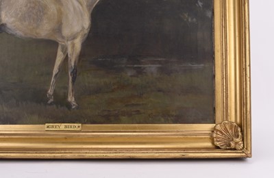 Lot 16 - J.Crawford Wood (British, 19th/20th century) Grey Bird