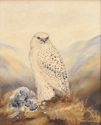 Lot 72 - Marion Minton (British Contemporary) Greenland Falcon and Peregrine Falcon (2)