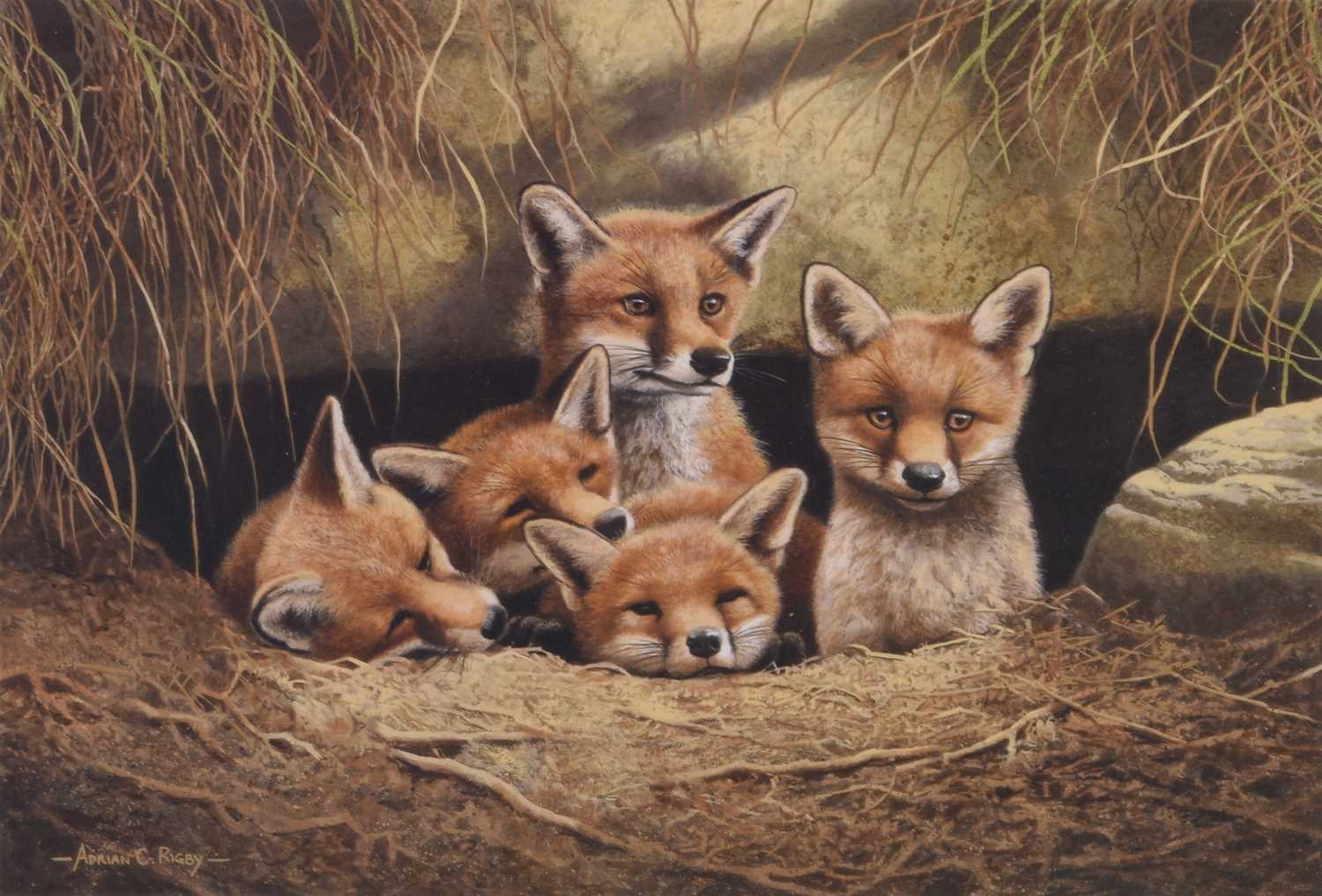 Lot 32 - Adrian Rigby (b.`1962) Large Quantity of Signed Limited Edition Prints of Foxes