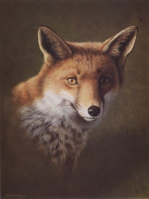 Lot 32 - Adrian Rigby (b.`1962) Large Quantity of Signed Limited Edition Prints of Foxes