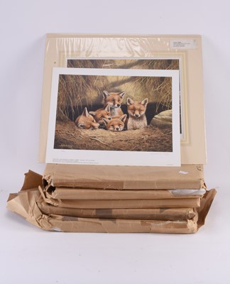 Lot 32 - Adrian Rigby (b.`1962) Large Quantity of Signed Limited Edition Prints of Foxes