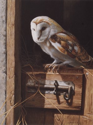Lot 71 - Adrian Rigby (b.1962) Large Quantity of Ex Gallery Stock, 'Barn Owl' Signed Prints