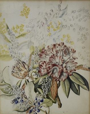 Lot 336 - British School (19th-20th Century) Botanical Study in Watercolour