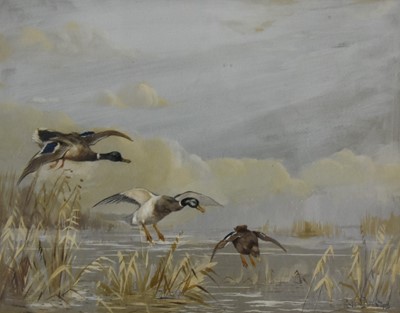 Lot 307 - Reuben Ward Binks (1880-1950) Two Paintings with Snipe and Mallards