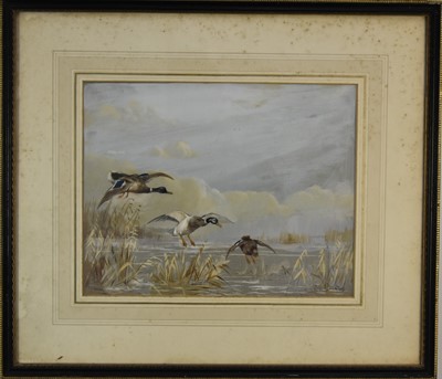 Lot 307 - Reuben Ward Binks (1880-1950) Two Paintings with Snipe and Mallards