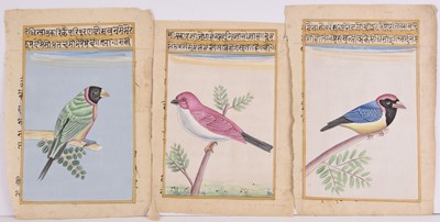 Lot 134 - A group of Indian miniature paintings of birds, 19th-20th century