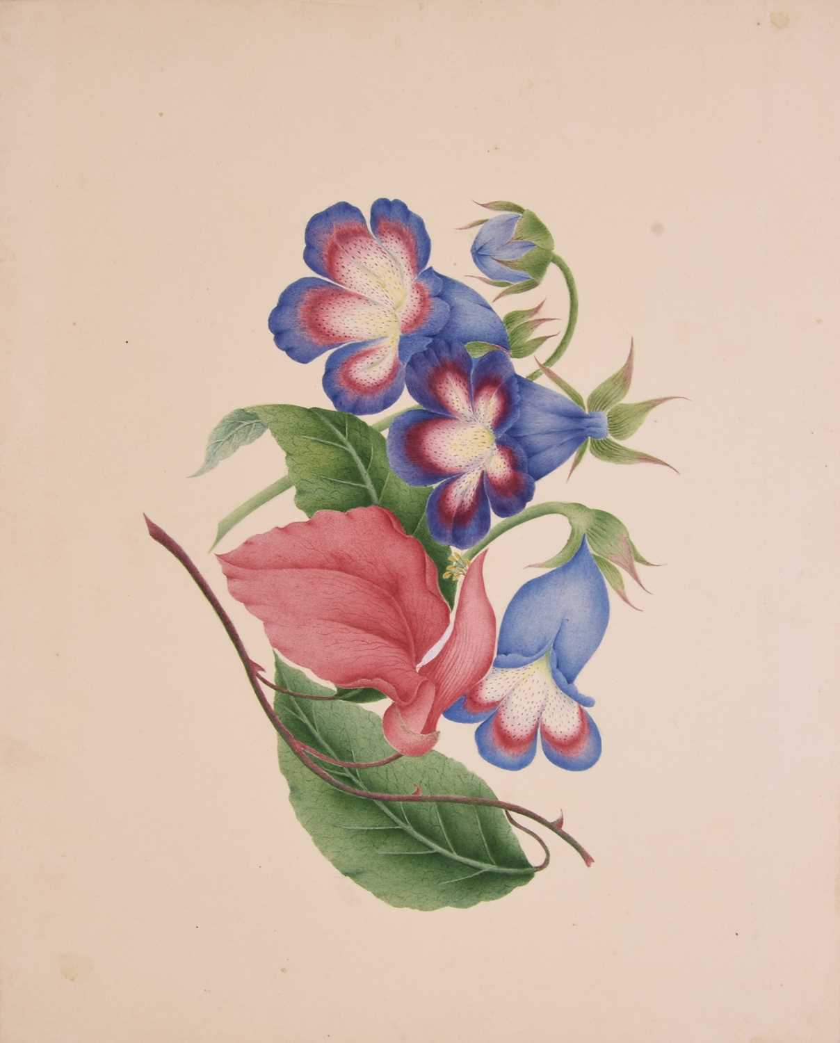 Lot 182 - Chinese school, 19th century, a botanical study