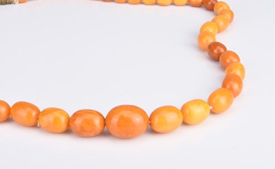 Lot 224 - A graduated amber bead necklace
