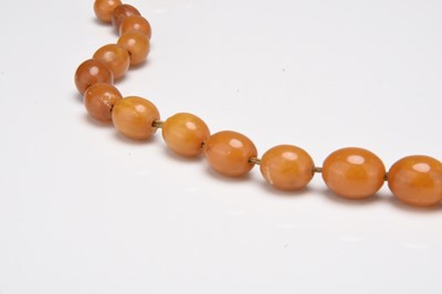 Lot 261 - A graduated amber bead necklace