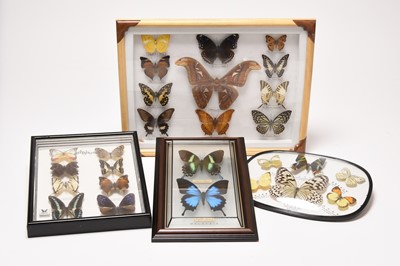 Lot 46 - Taxidermy, Lepidoptera interest - four display cases (4)