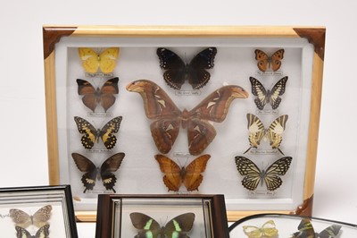 Lot 46 - Taxidermy, Lepidoptera interest - four display cases (4)