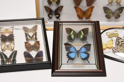 Lot 46 - Taxidermy, Lepidoptera interest - four display cases (4)