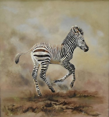 Lot 305 - Vanessa Jayne (b.1968) Pair of Zebra Foals