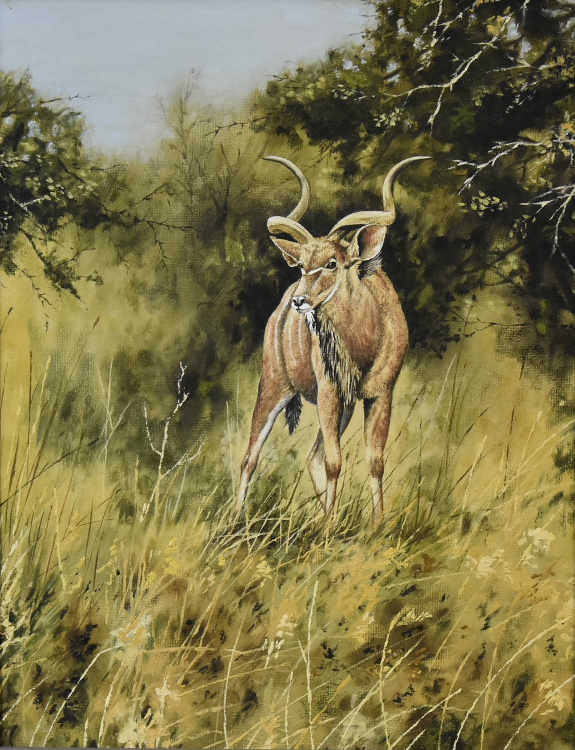 Lot 306 - Stephen Gayford (b.1954) A Kudu in the Wild