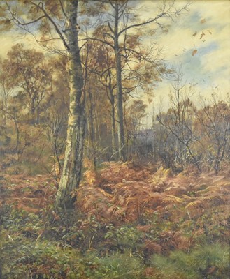 Lot 400 - British School (late 19th-early 20th Century) Autumnal Woodland