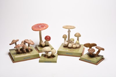 Lot 78 - A collection of Adam Rouilly models of fungi by Somso