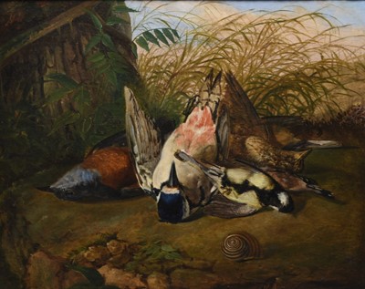Lot 48 - Gennaro Guglielmi (1804-1887) Study of dead British birds