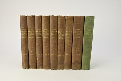 Lot 193 - LOWE, E.J. Ferns: British and Exotic