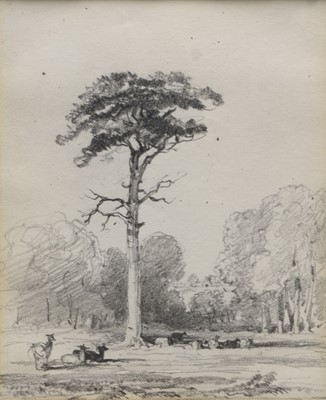 Lot 234 - Attributed to Henry Harris Lines (1800-1889), Stone Pine, Davenport