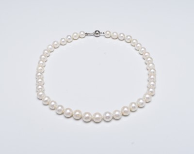 Lot 288 - A single strand uniform cultured pearl necklace