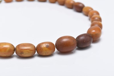 Lot 165 - A graduated oval amber bead necklace