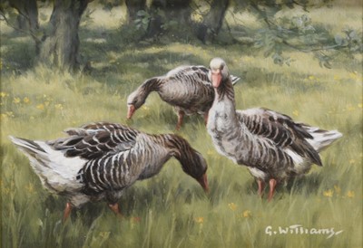 Lot 221 - G Williams, Farm animals, three portraits (3)