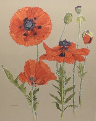 Lot 100 - Isobel Watson (1971-2013) Oriental Poppies