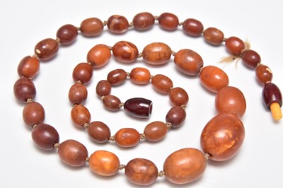 Lot 388 - A graduated amber bead necklace