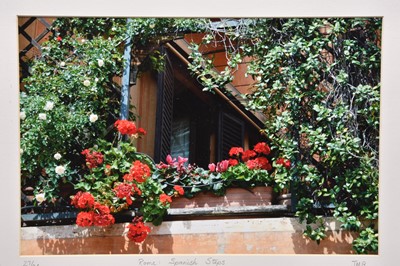 Lot 90 - Street photography - Flowers (2)