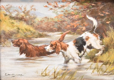 Lot 17 - G Williams, A Pair of Miniature paintings of Fox Hounds and Otter Hounds (2)